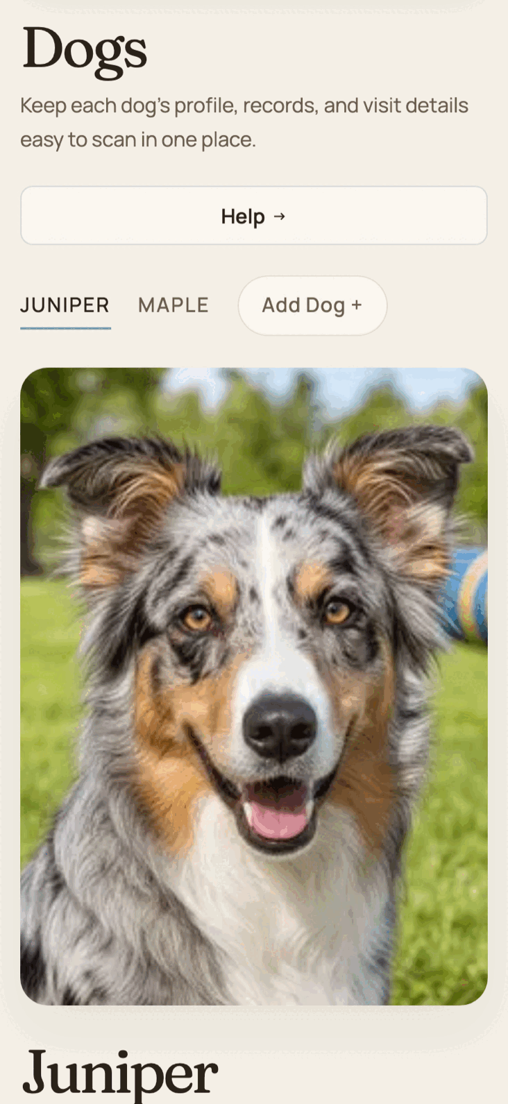 Customer portal dogs page with each dog's profile and records, in the daycare's brand colors